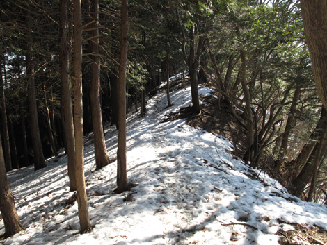 20160128hike (248)